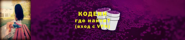 скорость Няндома