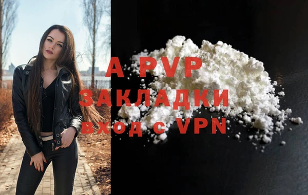 мдпв Осташков
