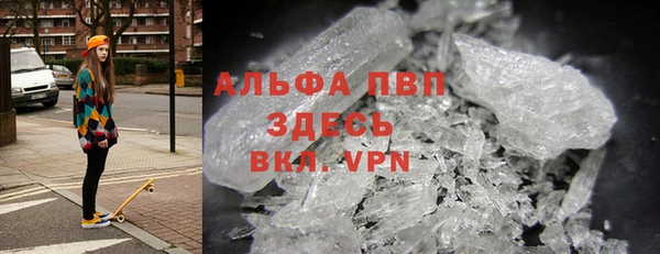 твердый Новозыбков
