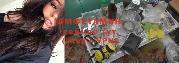 мдпв Осташков