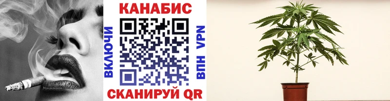 хочу   Ликино-Дулёво  Каннабис ГИДРОПОН 